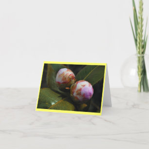 Magnolia Buds Card