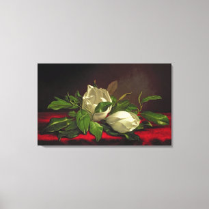 Magnolia Canvas Print