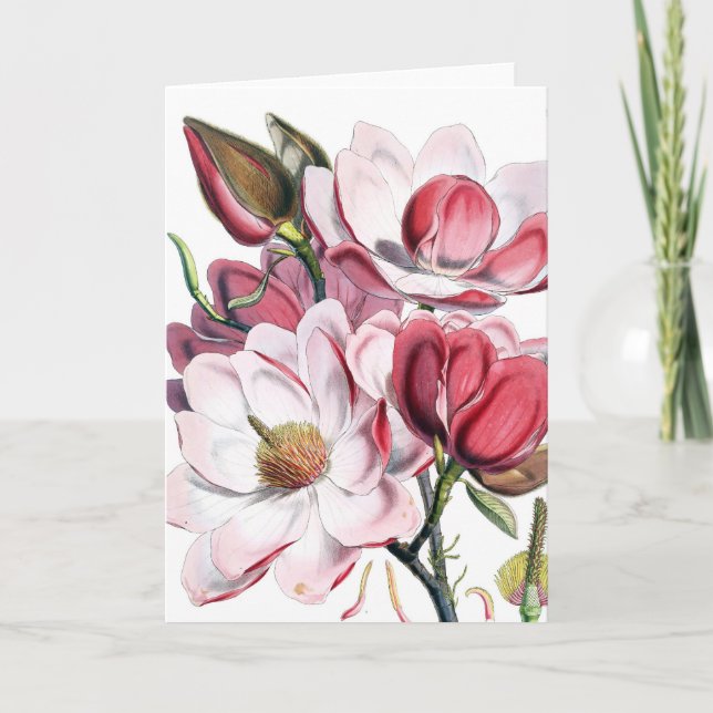 Magnolia Card (Front)