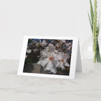 Magnolia Card