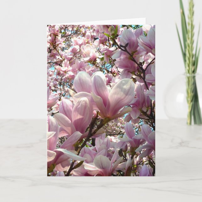 Magnolia Card (Front)
