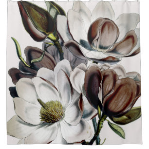 Magnolia Chocolate Dream Shower Curtain