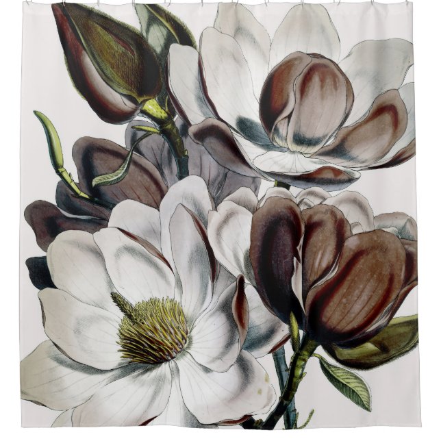 Magnolia Chocolate Dream Shower Curtain (Front)
