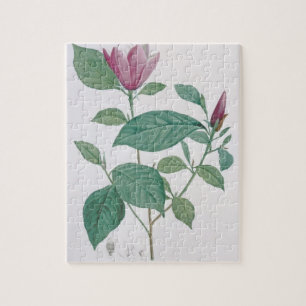 Magnolia discolour, engraved by Legrand (colour Jigsaw Puzzle