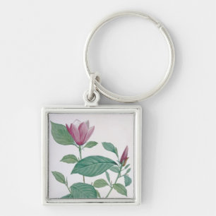 Magnolia discolour, engraved by Legrand (colour Key Ring