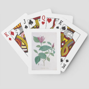 Magnolia discolour, engraved by Legrand (colour li Playing Cards