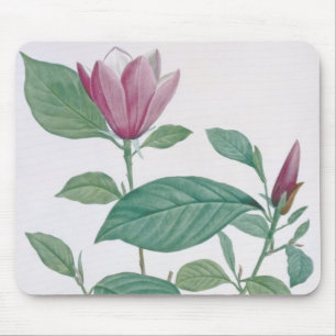 Magnolia discolour, engraved by Legrand (colour Mouse Mat