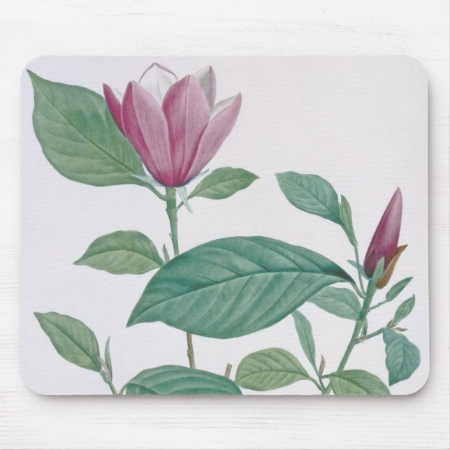 Magnolia discolour, engraved by Legrand (colour Mouse Mat (Front)