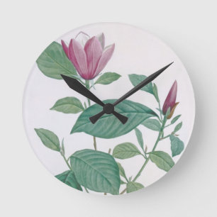 Magnolia discolour, engraved by Legrand (colour Round Clock