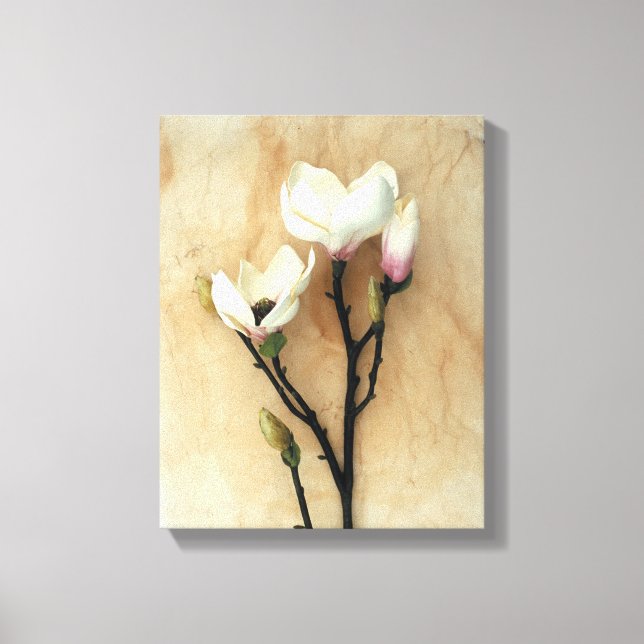 Magnolia floral art print wall print (Front)