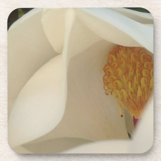 Magnolia Floral Fine Art Photograph Coaster