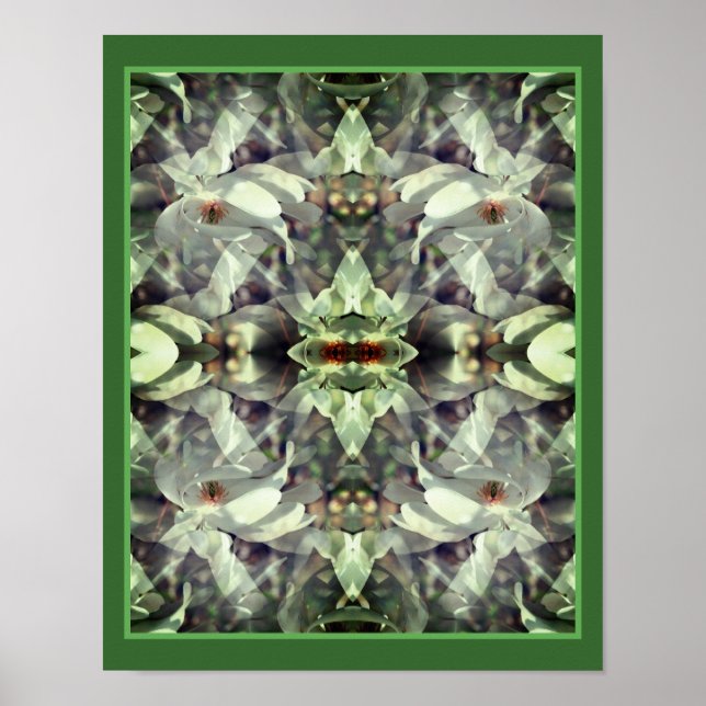 Magnolia Flower Blossoms Abstract  Poster (Front)