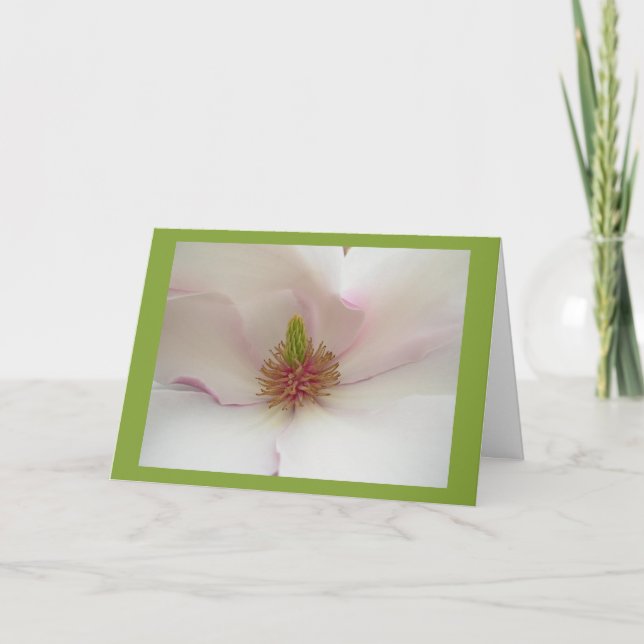 Magnolia Flower Card White Blossom Card (Front)