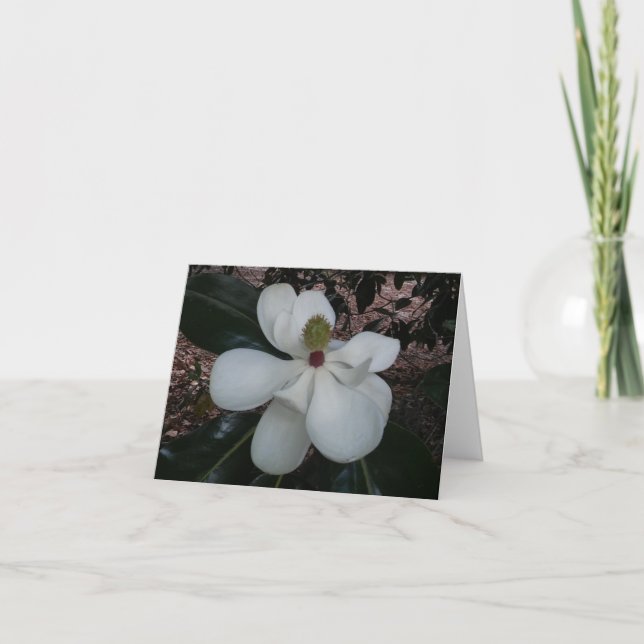 Magnolia Flower Photo Folded Note Card (Front)