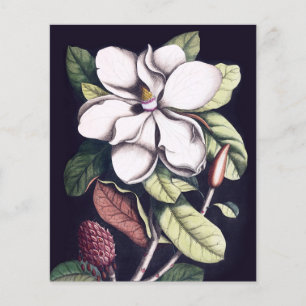 Magnolia Flower Thank You Paper Sheet