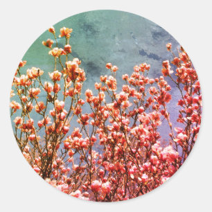 Magnolia Flowers Blue Sky Nature Art Classic Round Sticker