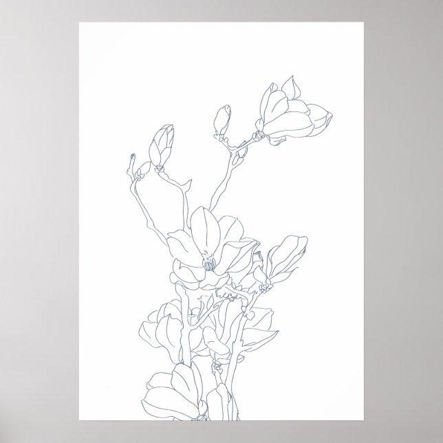 magnolia flowers drawing Poster (Front)