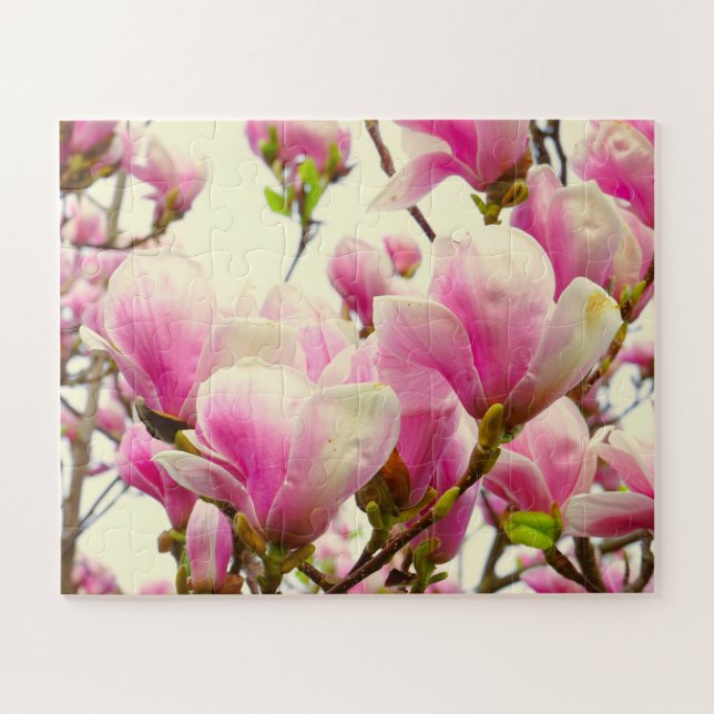 Magnolia Flowers Floral Botanical Blossom Chic  Jigsaw Puzzle (Horizontal)