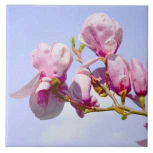Magnolia Flowers Floral Botanical Blossom Chic Tile