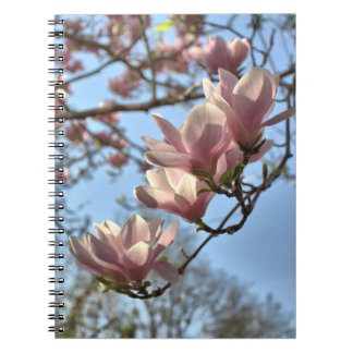 Magnolia Flowers in Spring Notebook