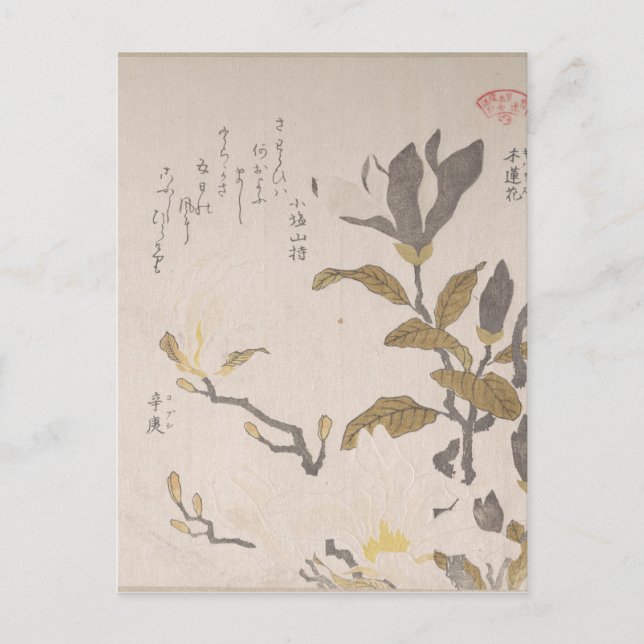 Magnolia Flowers - Kubo Shunman (Japanese) Postcard (Front)