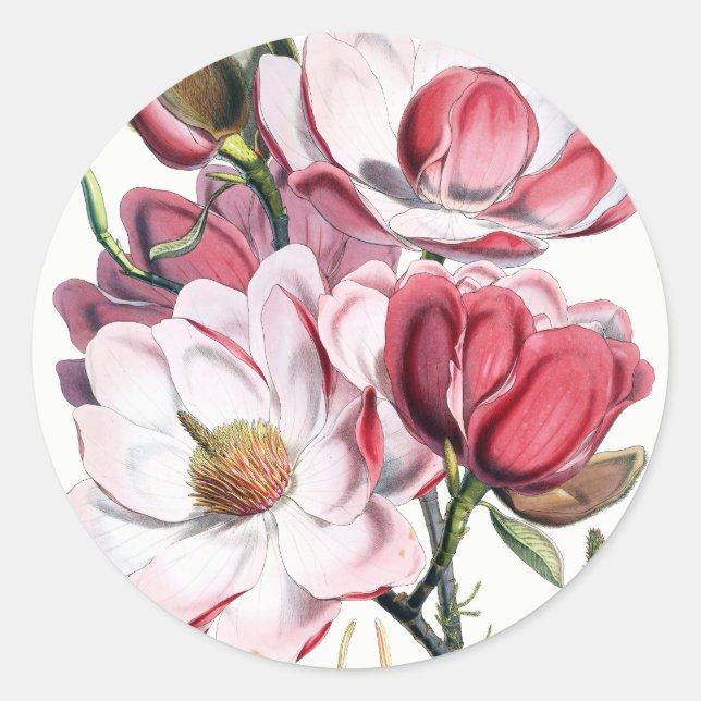 Magnolia Flowers Stickers (Front)