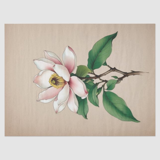 Magnolia Flowers Tissue Paper (Front)