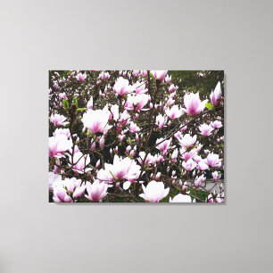 Magnolia Garden Canvas Print