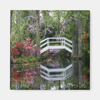 Magnolia Gardens, S.C. Magnet
