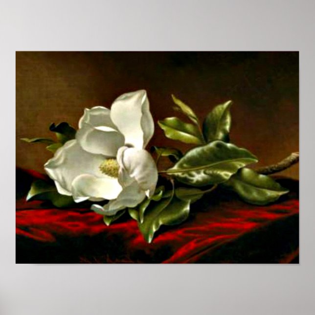 Magnolia Grandiflora-1895,_Martin Johnson Heade Poster (Front)