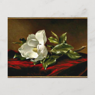 Magnolia Grandiflora artwork Postcard