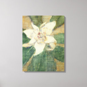 Magnolia Grandiflora Canvas Print