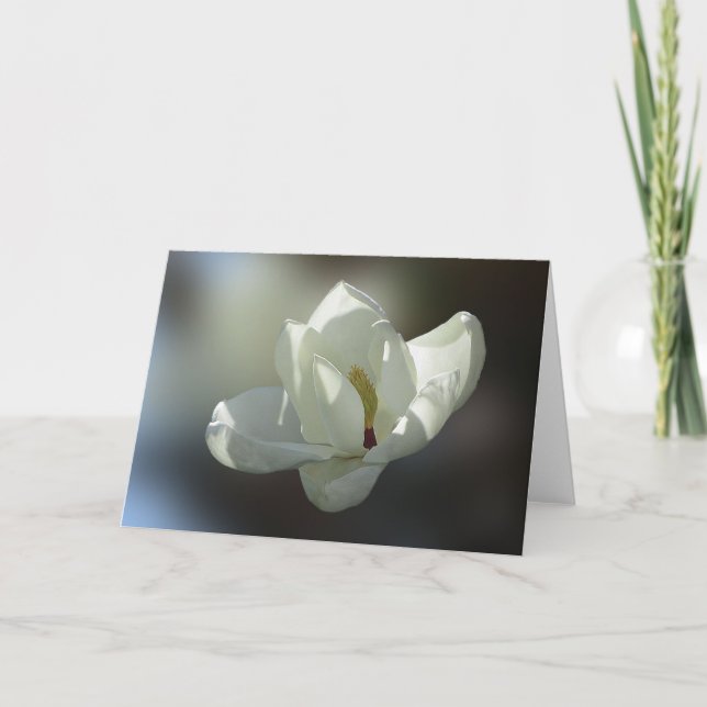 Magnolia Grandiflora Card (Front)