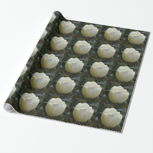 Magnolia Grandiflora Gift Wrap