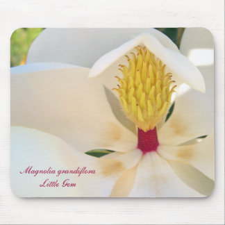 Magnolia grandiflora 'Little Gem' Mouse Mat