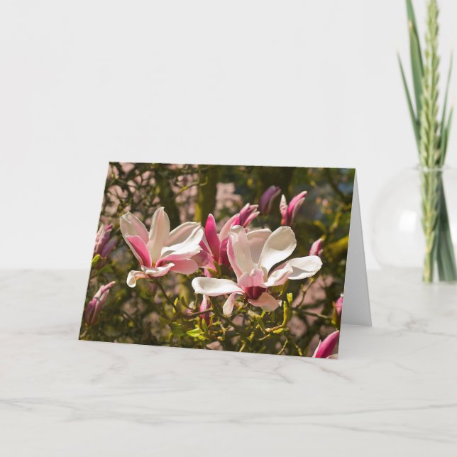Magnolia Greeting Card (Front)