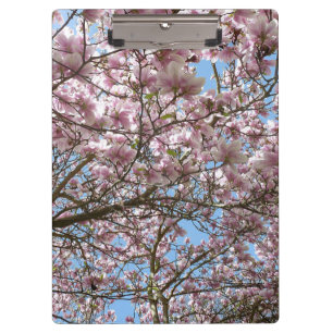 Magnolia in April Clipboard
