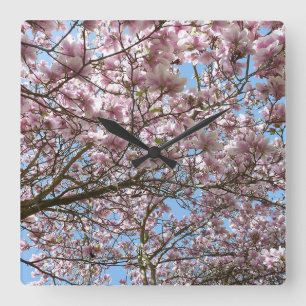 Magnolia in April Square Wall Clock