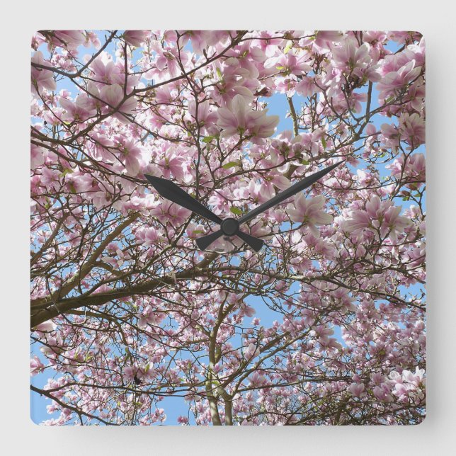 Magnolia in April Square Wall Clock (Front)