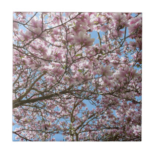 Magnolia in April Tile