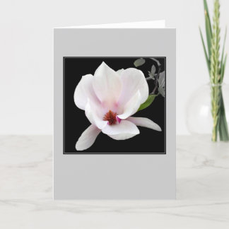 'Magnolia in Bloom' Blank Note Card