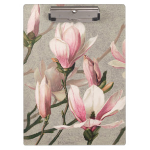 Magnolia - L. Prang & Co Clipboard