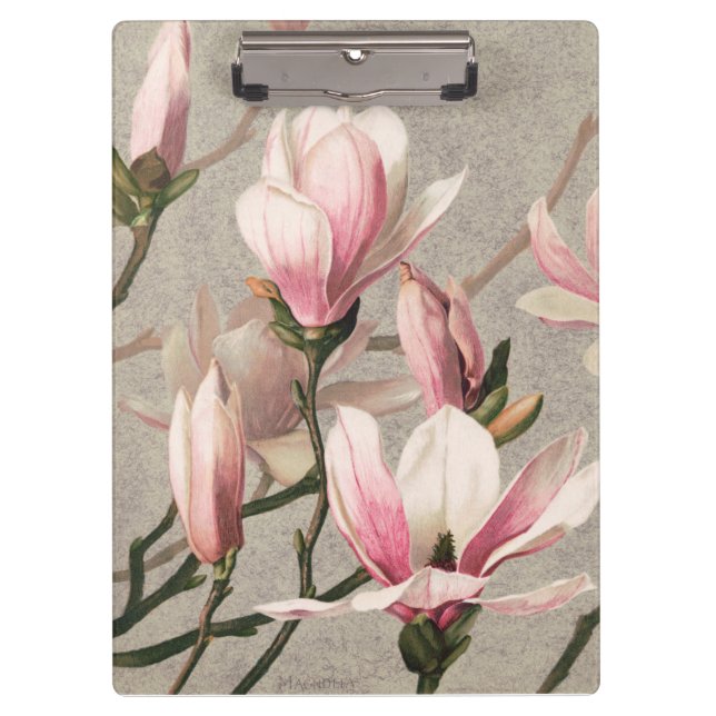 Magnolia - L. Prang & Co  Clipboard (Front)