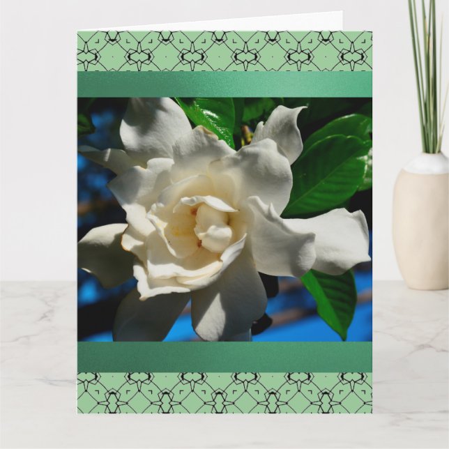 Magnolia-Light Green Design Greeting Card-Large Card (Front)