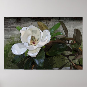 Magnolia Magic Poster -36x24 -other sizes also