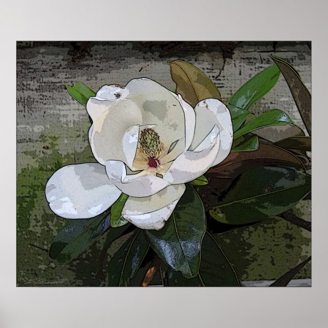 Magnolia Magic Print -24x20 -other sizes available (Front)