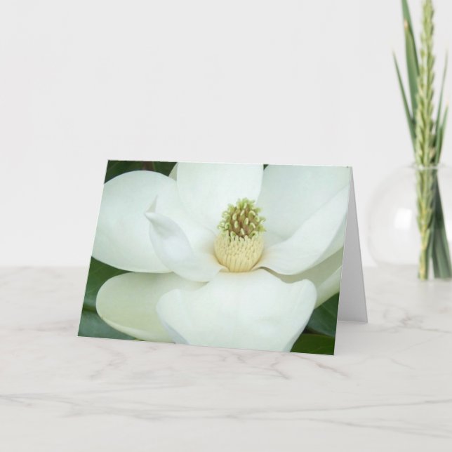 Magnolia magnified card (Front)