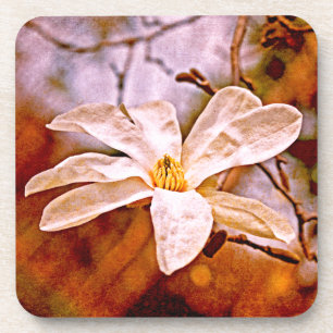Magnolia Mood Coaster