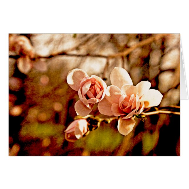 Magnolia Mood in Pink (Front Horizontal)