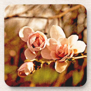 Magnolia Mood in Pink Coaster